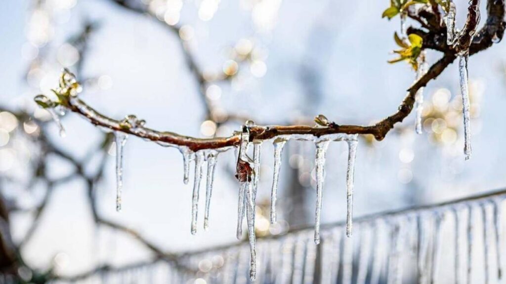 Ist der Februar trocken und kalt, kommt im März …
