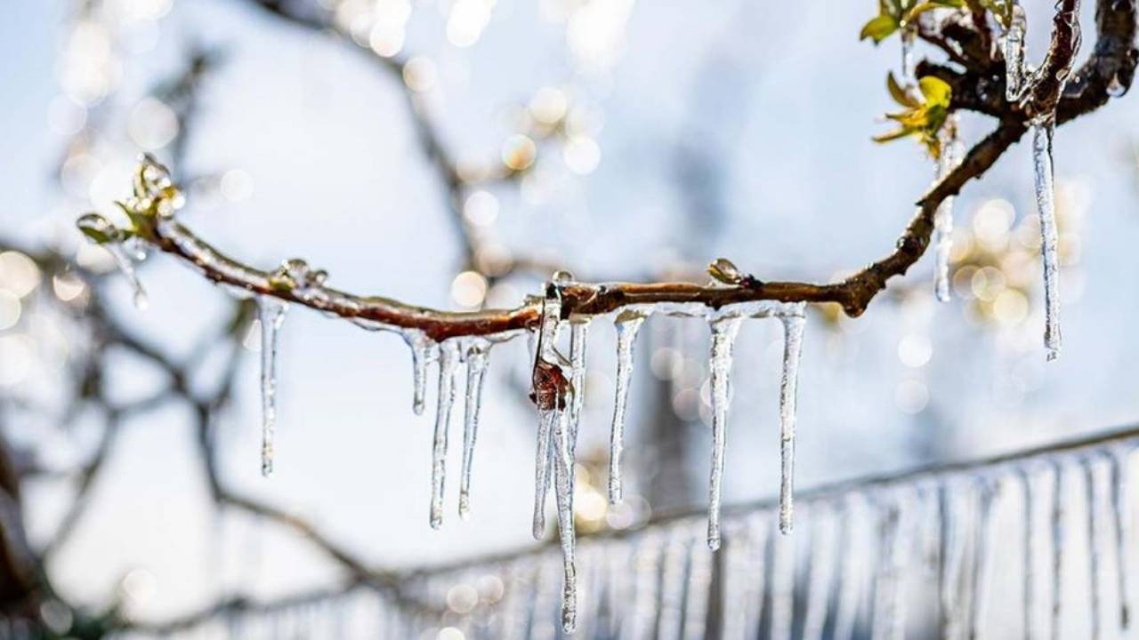 Ist der Februar trocken und kalt, kommt im März …